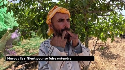 Maroc : siffler pour se faire comprendre