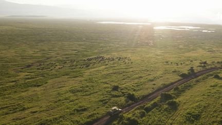 De la Tanzanie au Kenya : la grande migration des gnous