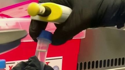 Foyer d’hantavirus sur un navire de croisière : l’origine de la contamination pourrait être antérieure au voyage