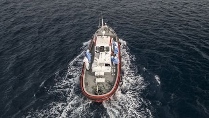 Hantavirus sur un bateau de croisière : pourquoi les autorités sanitaires restent rassurantes sur le risque d’épidémie