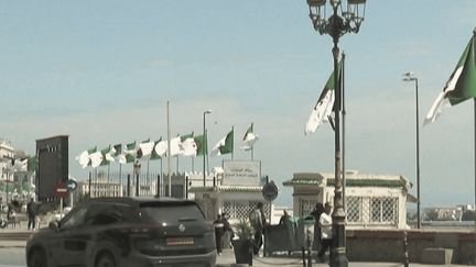 “L’Algérie est l’un des derniers endroits où les narcotrafiquants peuvent se réfugier” : la DZ Mafia organiserait-elle en partie son trafic depuis l’étranger ?