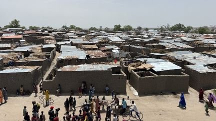 Le Nigeria annonce la mort de 175 membres du groupe Etat islamique après des frappes aériennes menées avec les Etats-Unis