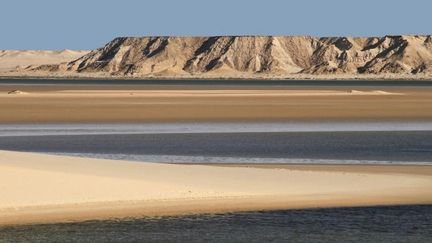 Le festival international du film du Sahara appelle à boycotter “L’Odyssée”, en partie tourné au Sahara occidental