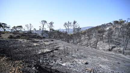 L’Afrique du Nord touchée par des chaleurs extrêmes et des incendies