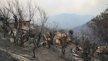 Le président de l’Algérie veut faire appliquer la peine de mort contre les pyromanes, après les incendies meurtriers qui ont ravagé une partie du pays