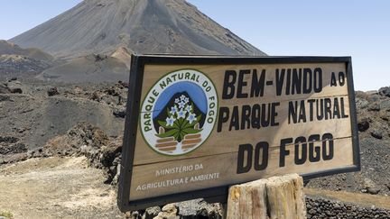 Au moins 25 morts, principalement des enfants, dans un accident de la route sur une île du Cap-Vert