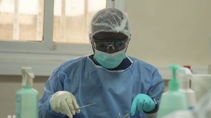 Au Sénégal, des chercheurs de l’Institut Pasteur traquent les hantavirus, qui ont fait trois morts au printemps dernier